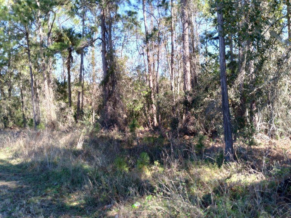Evans Rd Property Photo 7