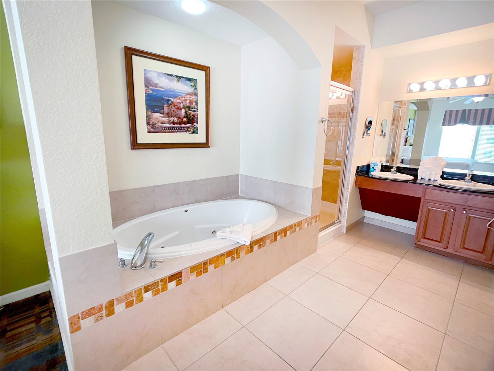 8125 Resort Village Drive #5706 Property Photo 15