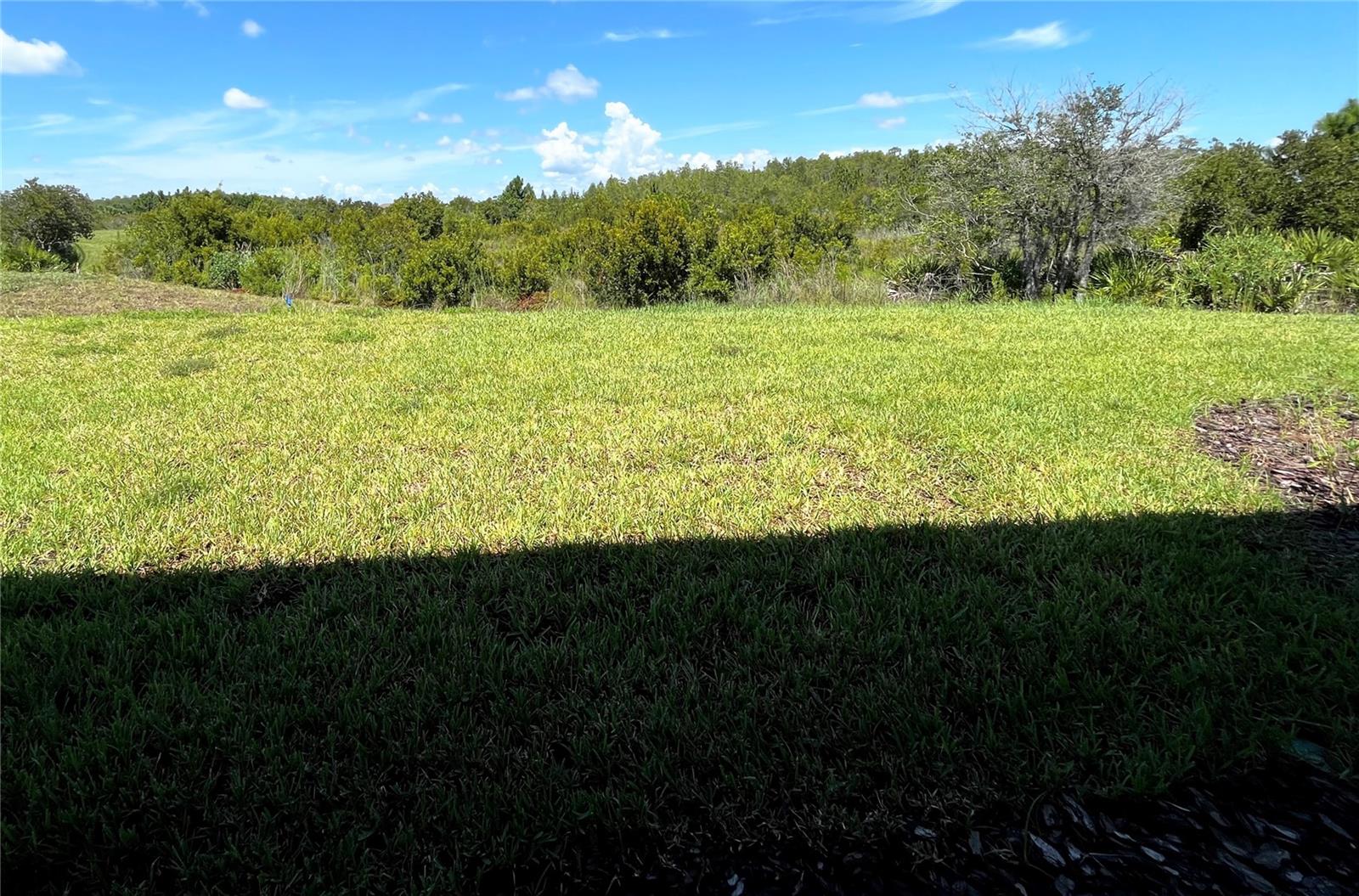 3780 Via Mazzini Court Property Photo 3