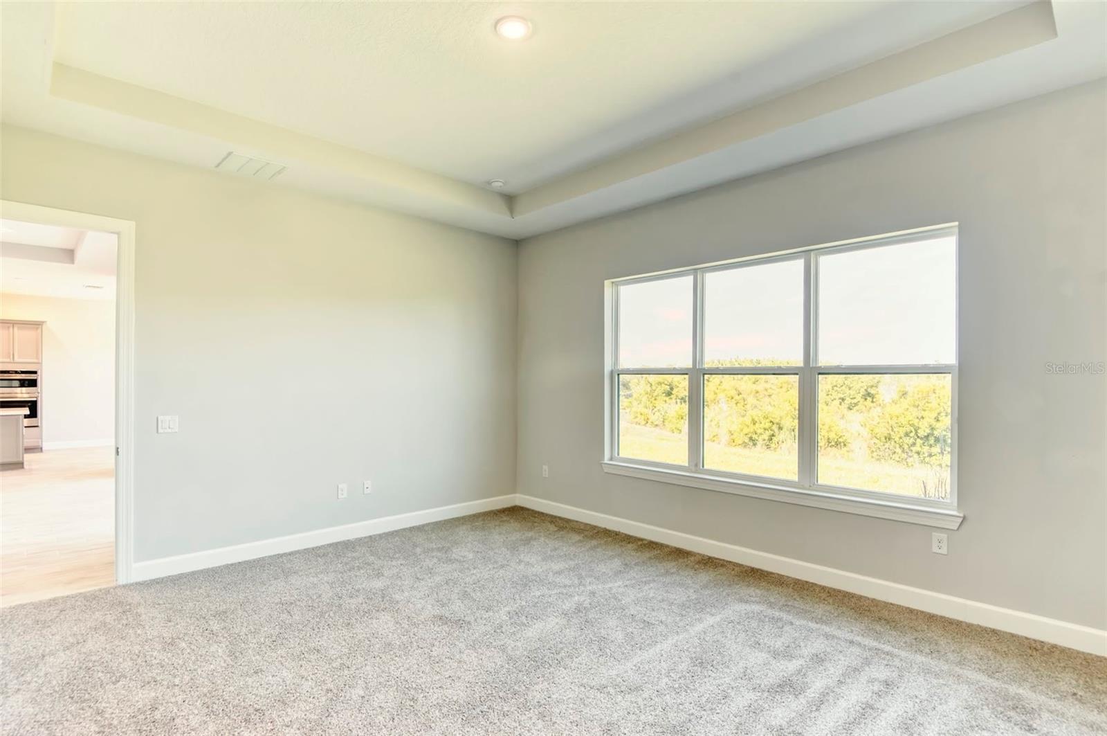 3780 Via Mazzini Court Property Photo 22