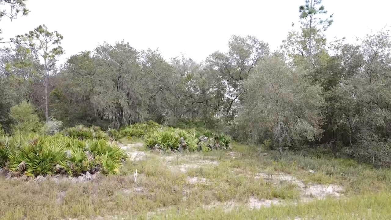 1405 Sarasota Ct Property Photo 4