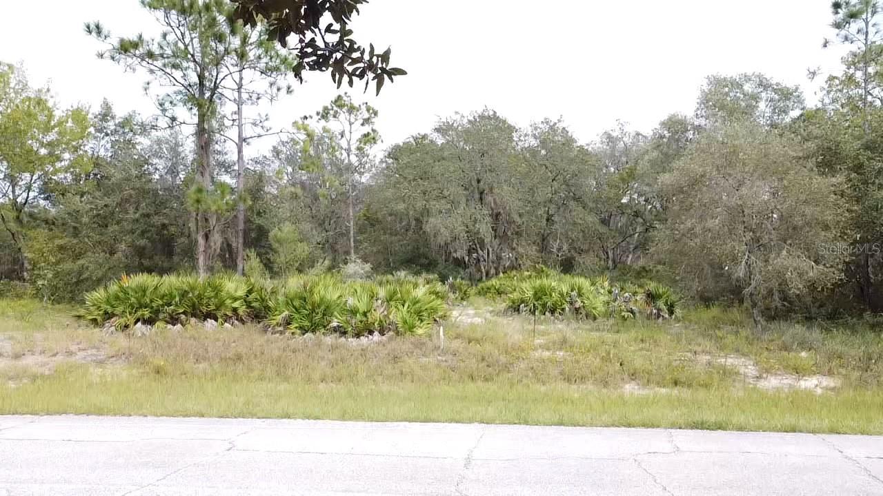 1405 Sarasota Ct Property Photo 5
