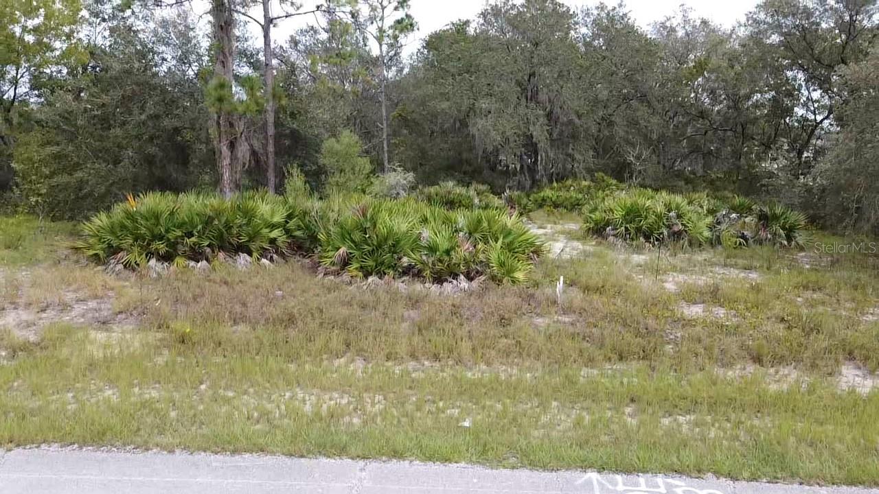 1405 Sarasota Ct Property Photo 17
