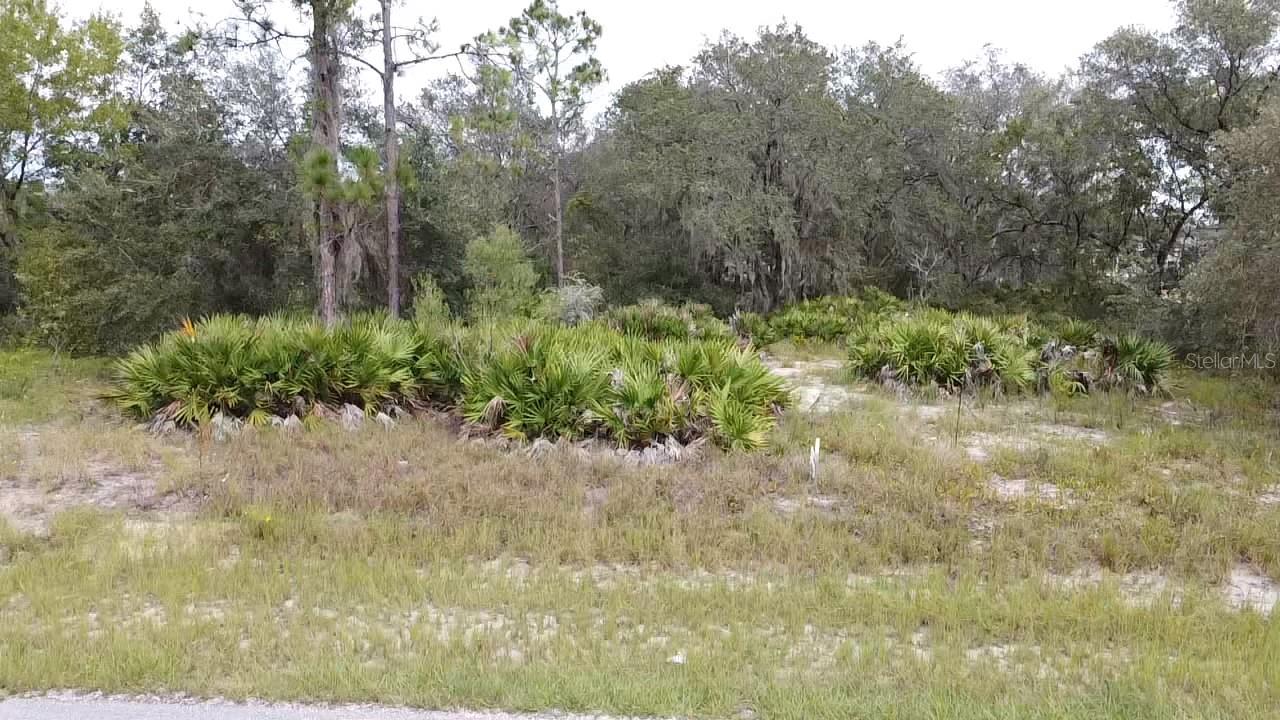1405 Sarasota Ct Property Photo 20