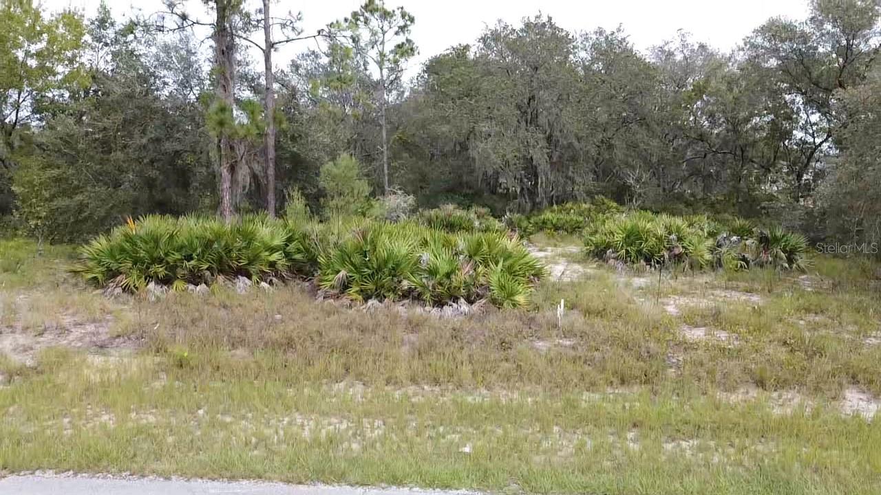 1405 Sarasota Ct Property Photo 25