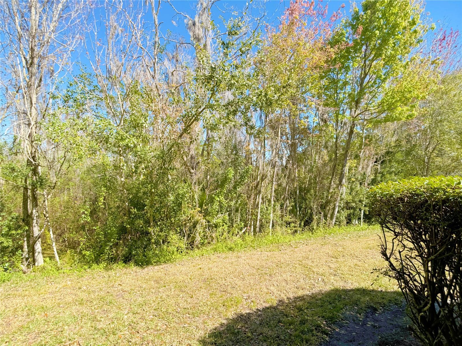 2374 Caravelle Cir Property Photo 17