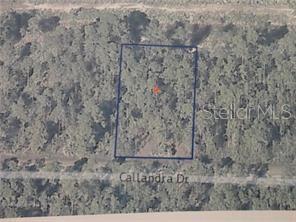 0 CALLIANDRA DR Property Photo 1