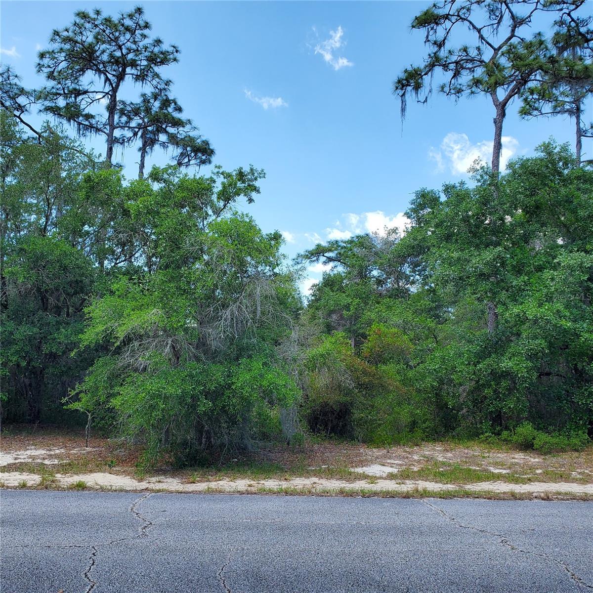 1345 ST AUGUSTINE CT Property Photo 1