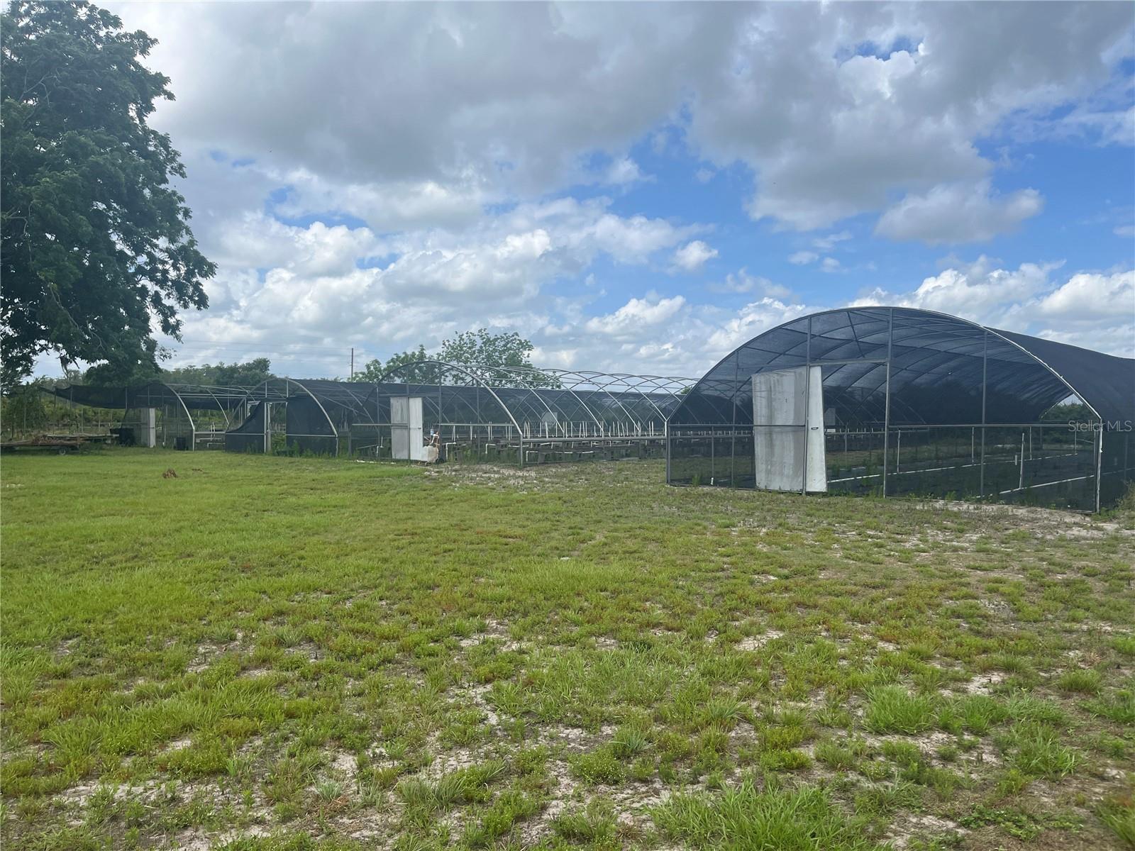 8737 Holopaw Groves Rd Property Photo 3