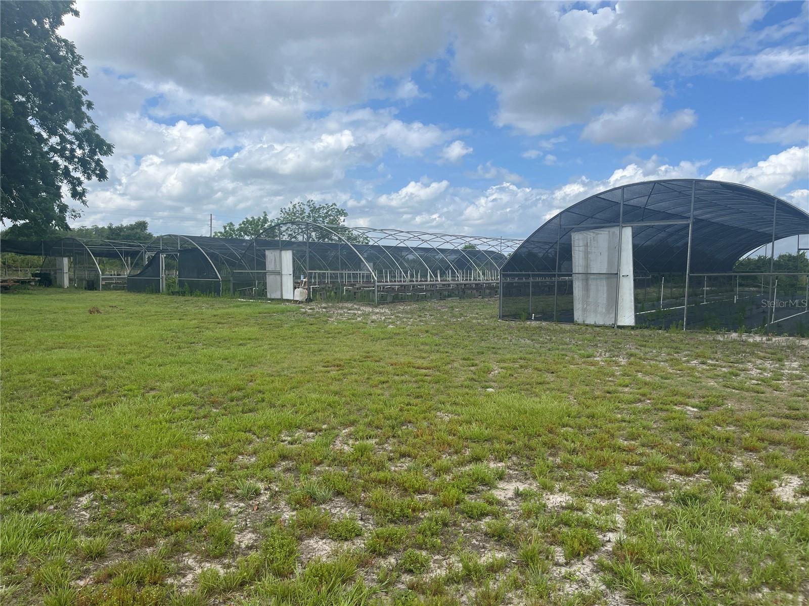 8737 Holopaw Groves Rd Property Photo 4