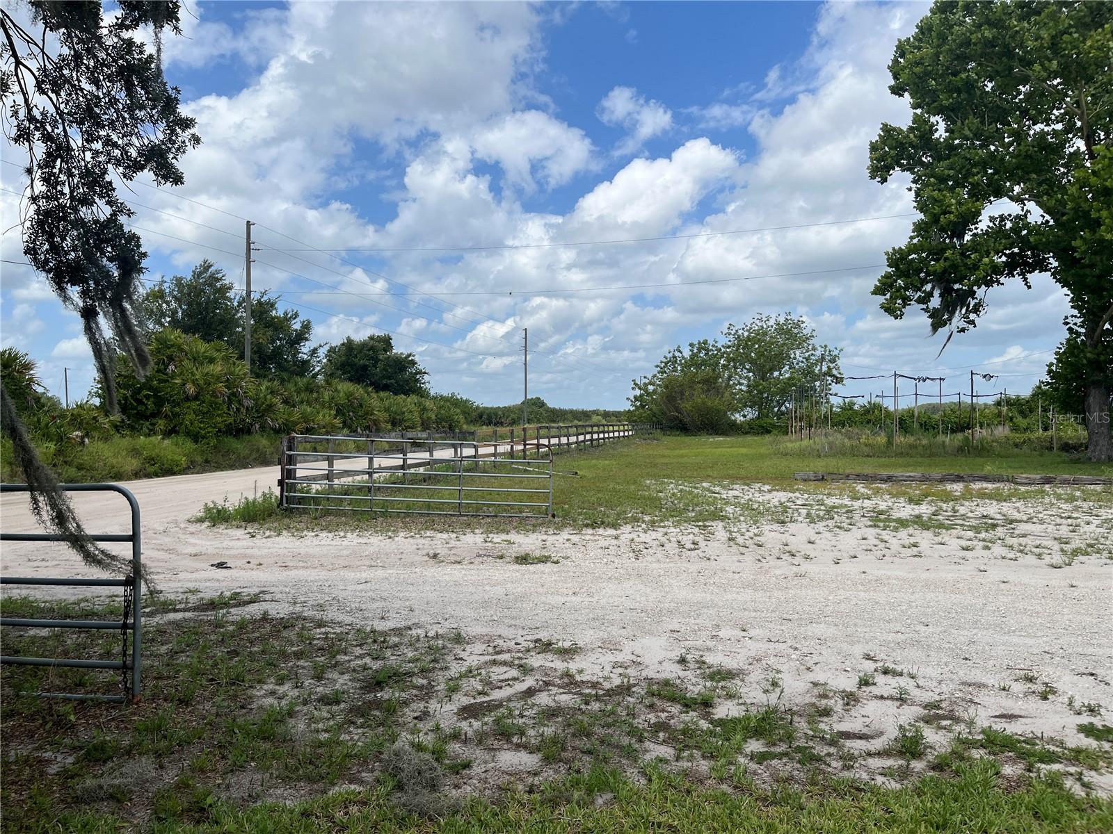 8737 Holopaw Groves Rd Property Photo 11
