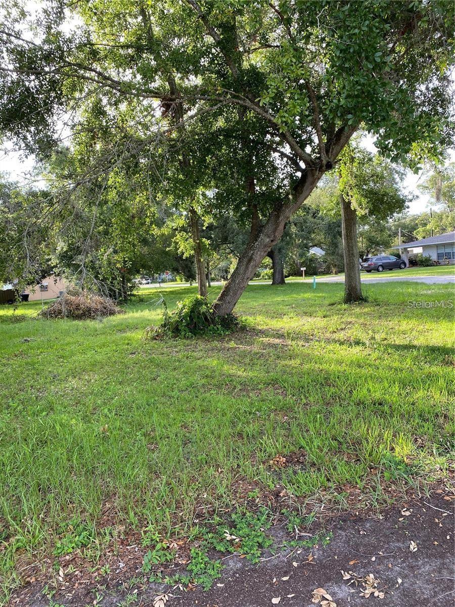 1323 Carolina Ave Property Photo 5