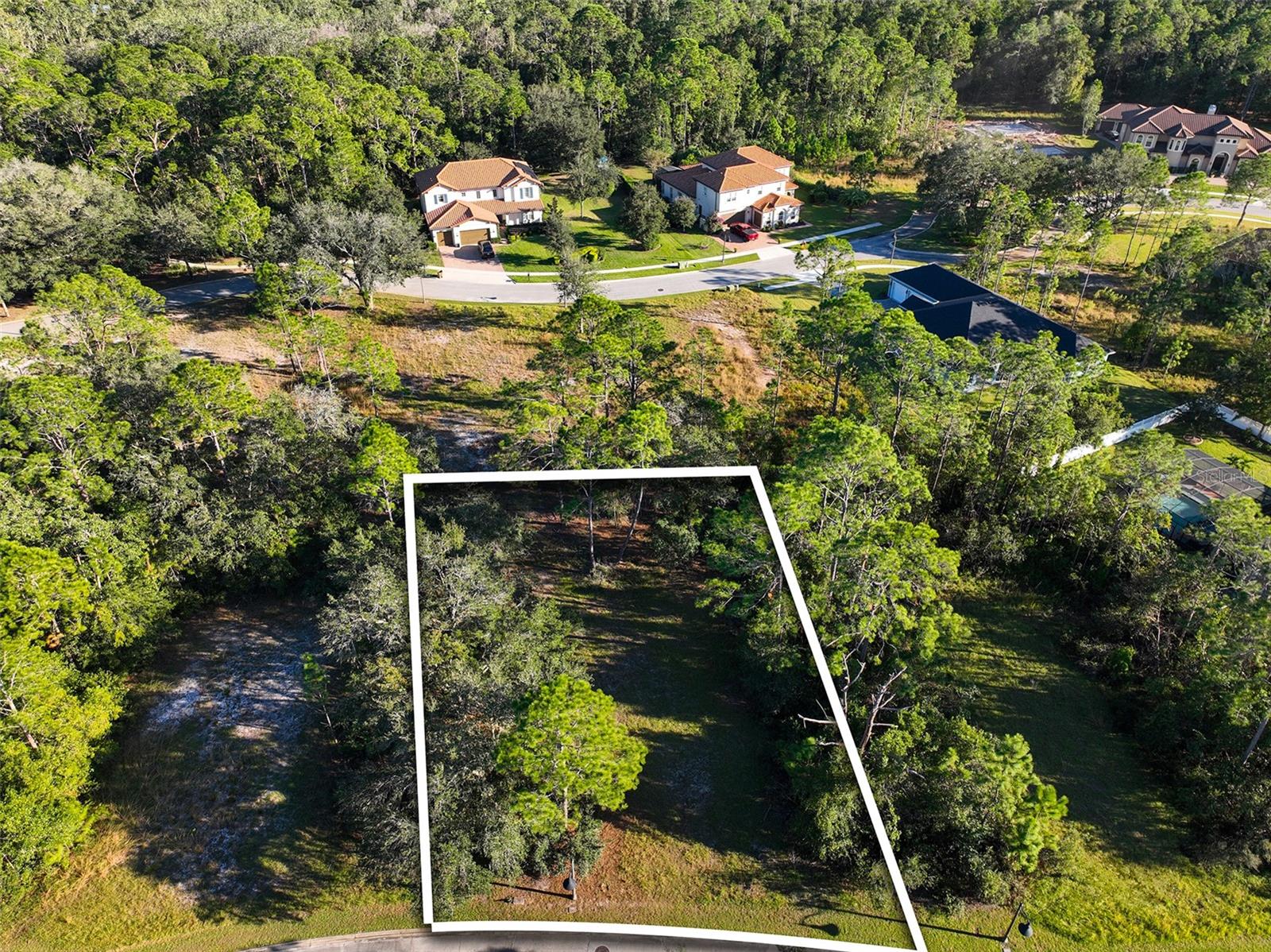 7180 Oak Glen Trl Property Photo 4