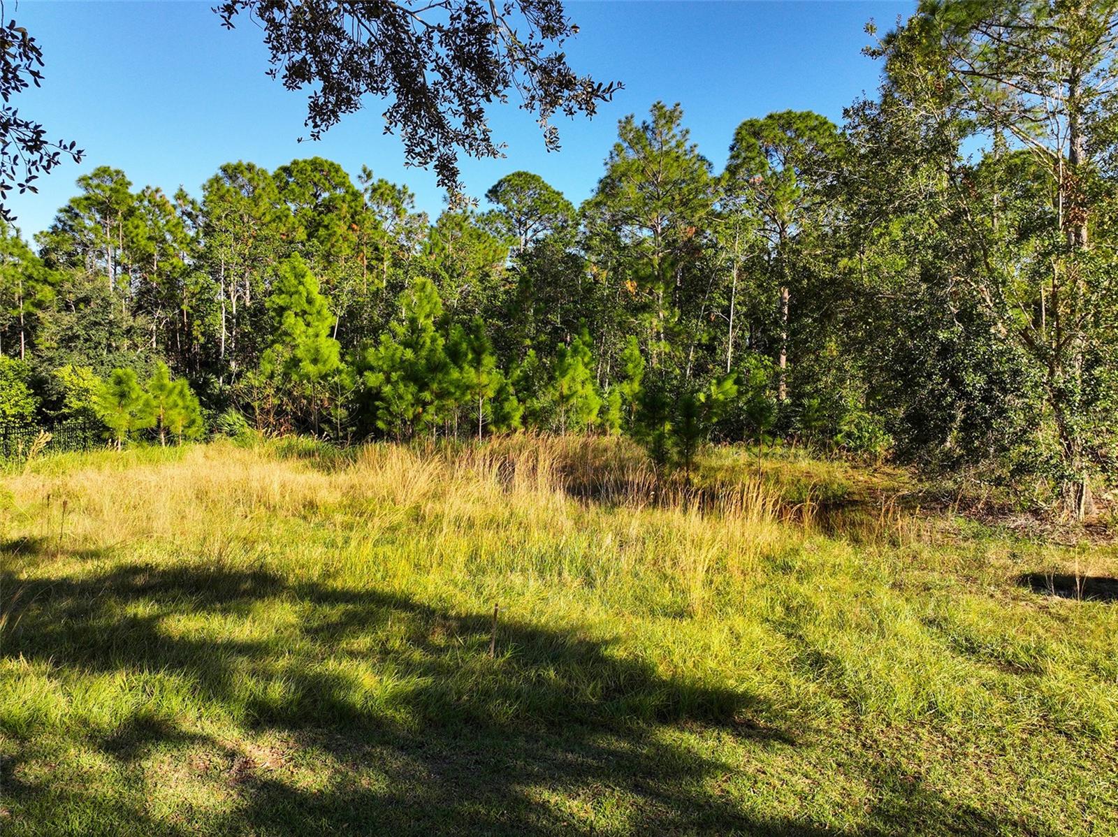 7161 Oak Glen Trl Property Photo 3