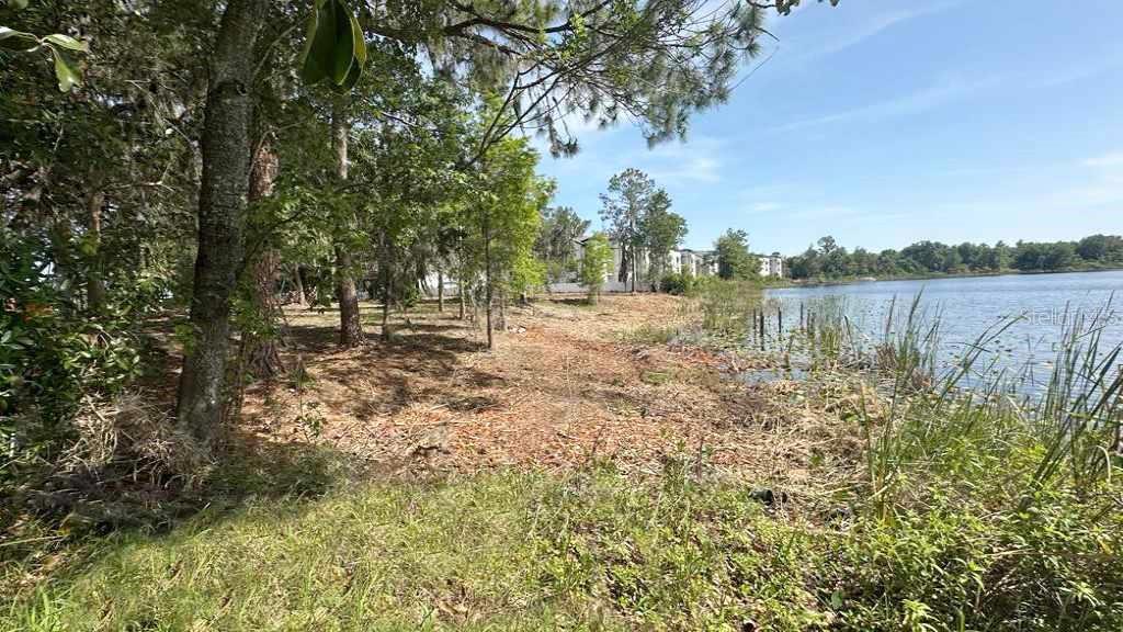 233 Ronald Reagan Pkwy Property Photo 3