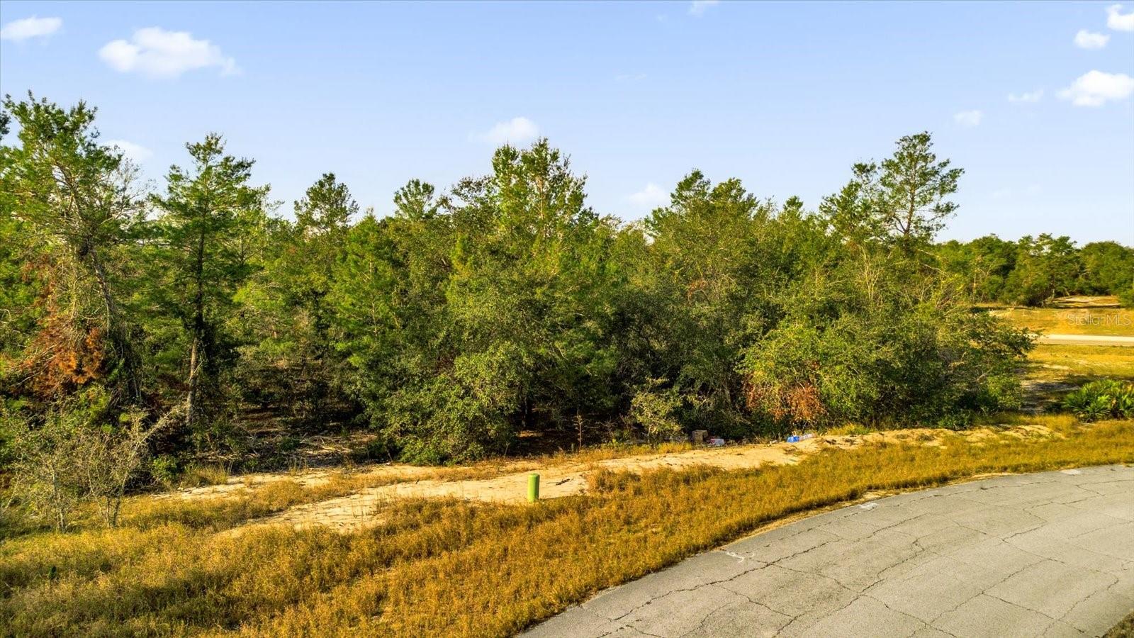 1360 Homosassa Dr Property Photo 2