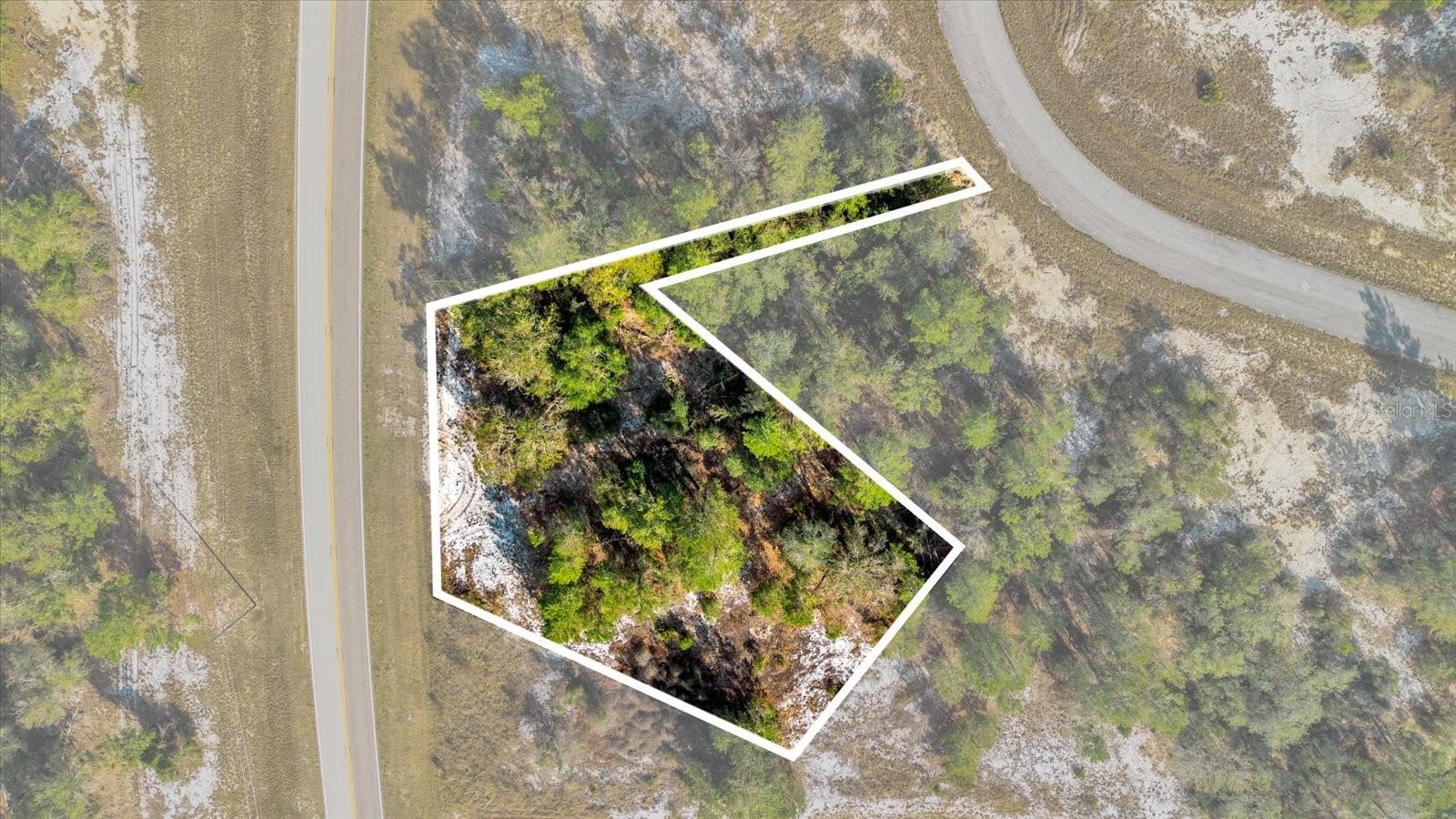 1360 Homosassa Dr Property Photo 6