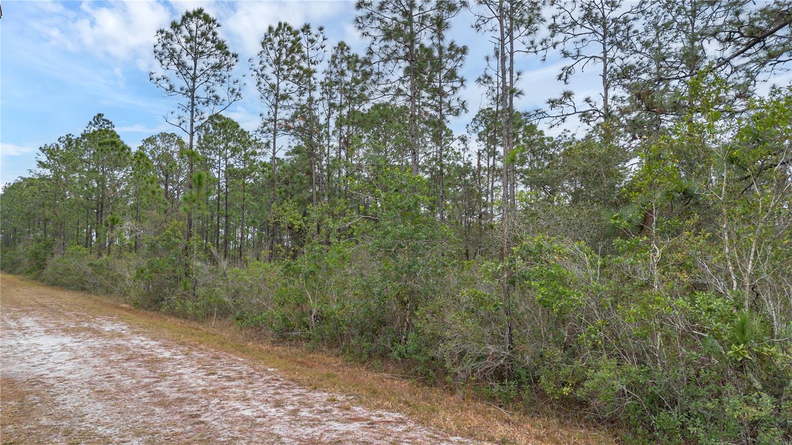 209 EL DORADO DR Property Photo 1