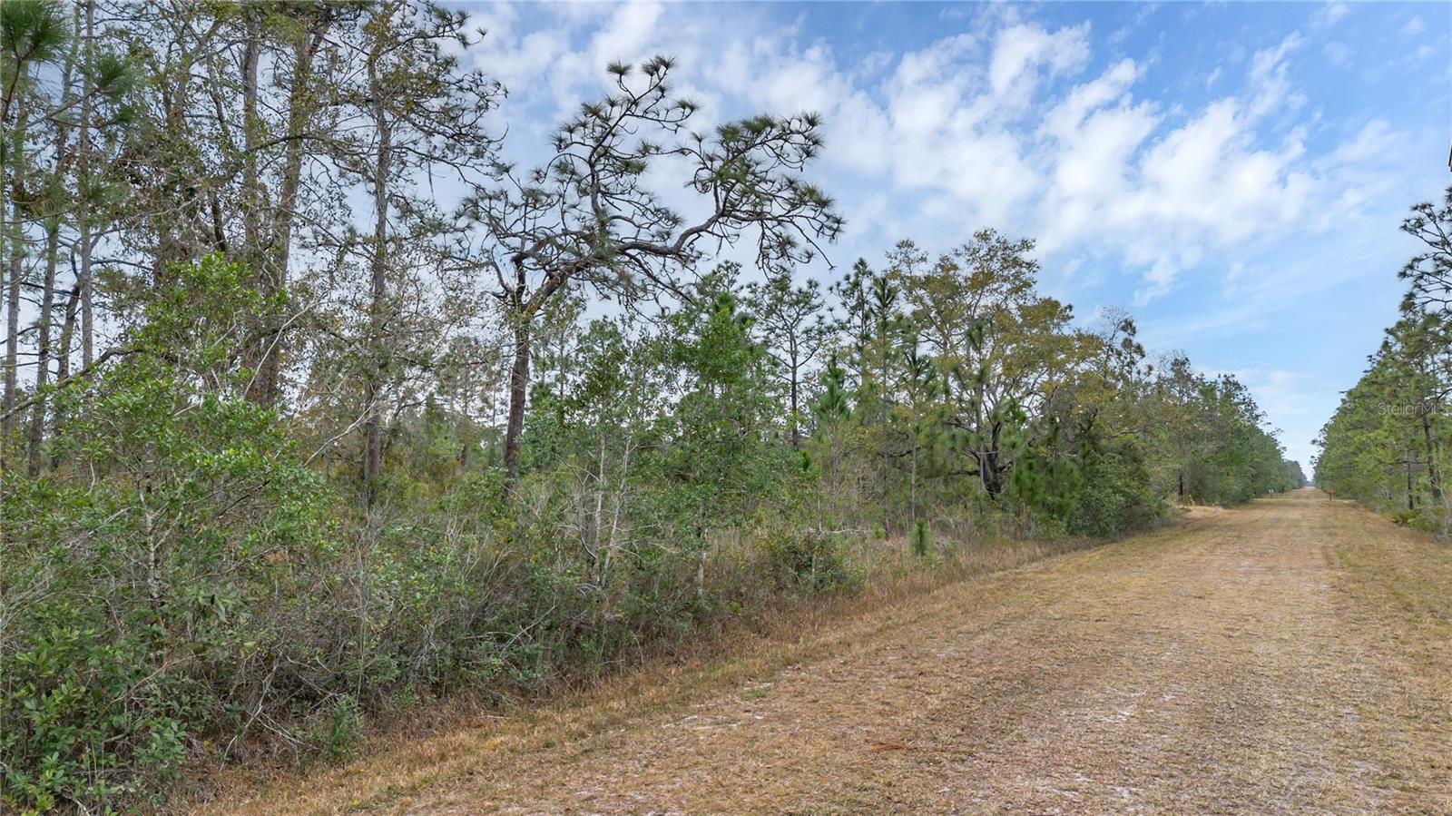 209 El Dorado Dr Property Photo 2