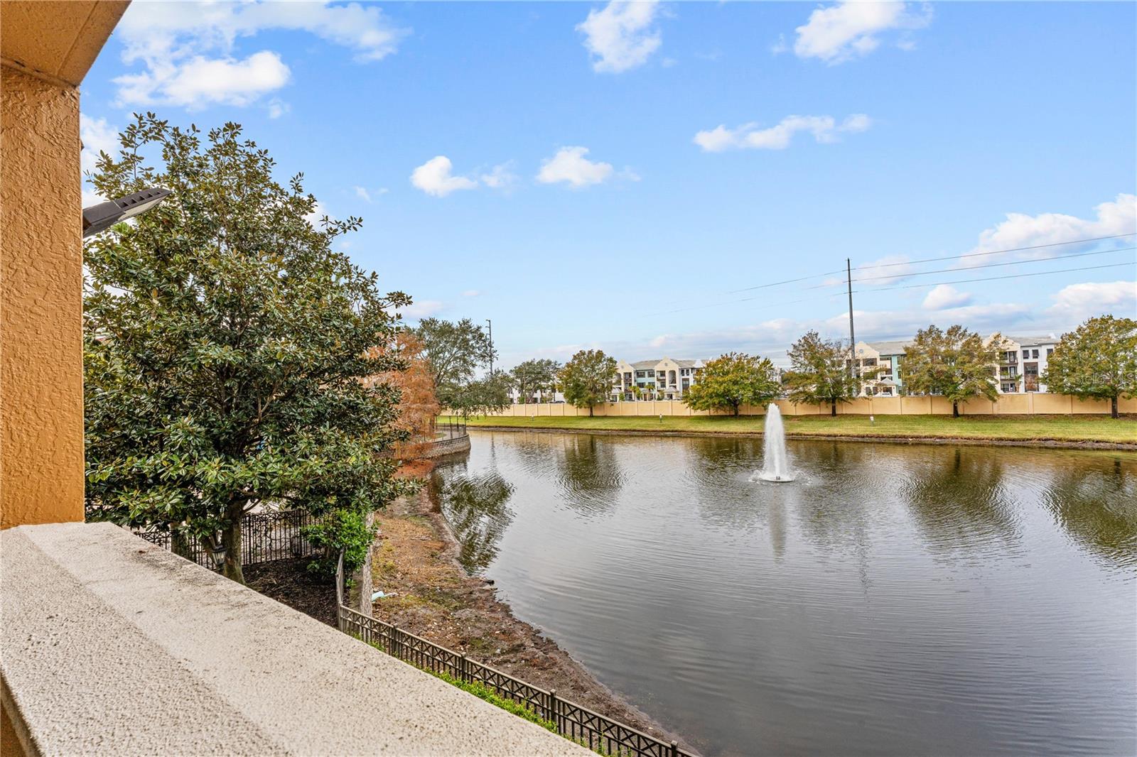 12544 Floridays Resort Dr Property Photo 26