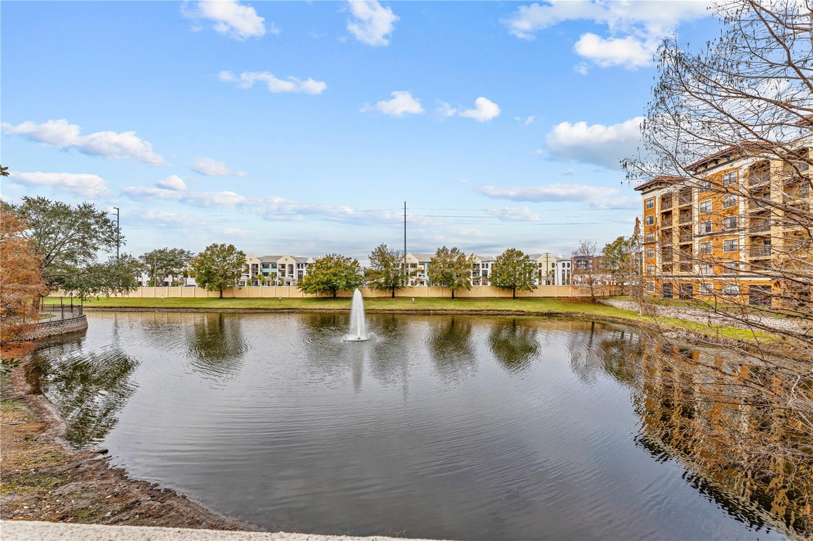 12544 Floridays Resort Dr Property Photo 27