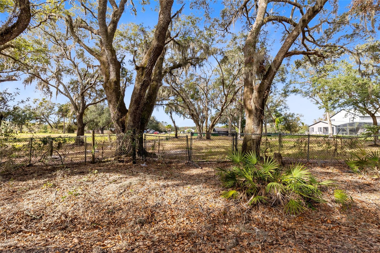 Seminole Rd Property Photo 2