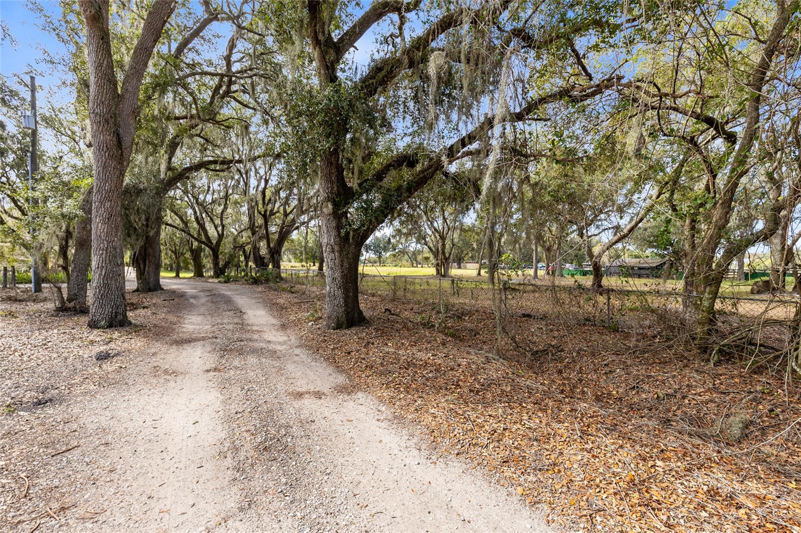 Seminole Rd Property Photo 12