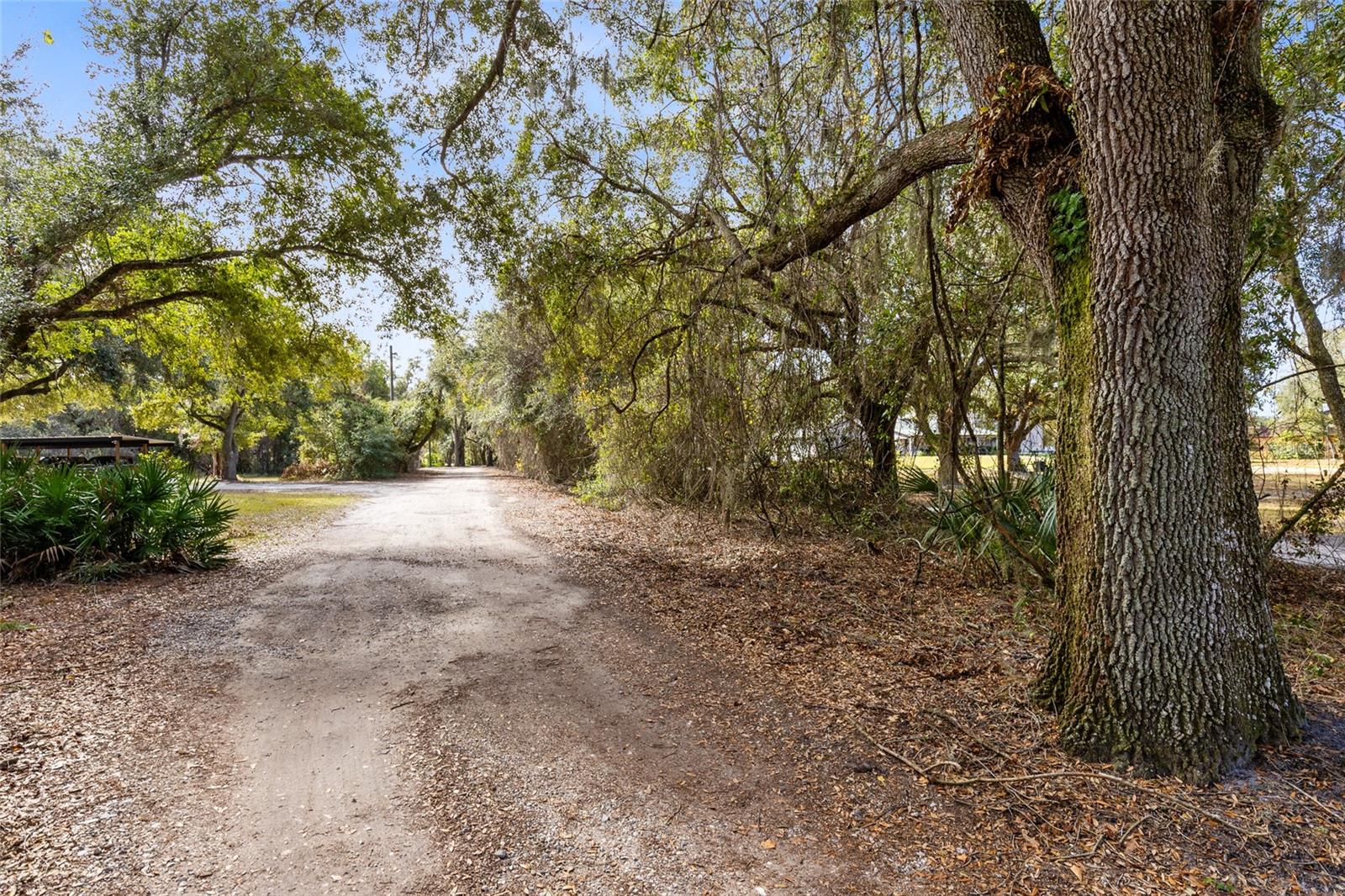 Seminole Rd Property Photo 13