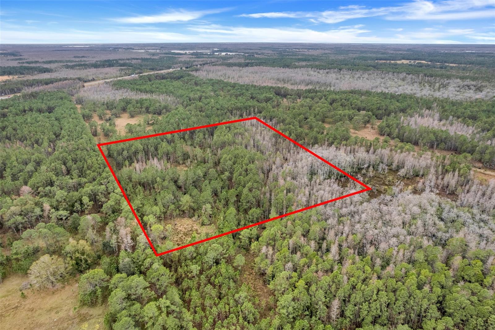 Unincorp/swfwmd Property Photo 4