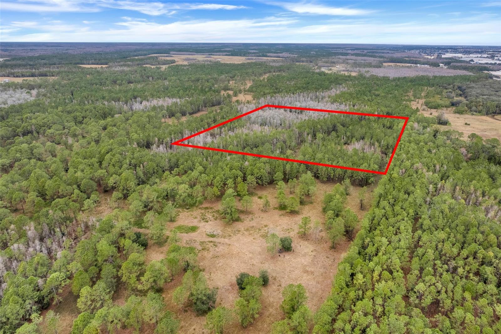 Unincorp/swfwmd Property Photo 5