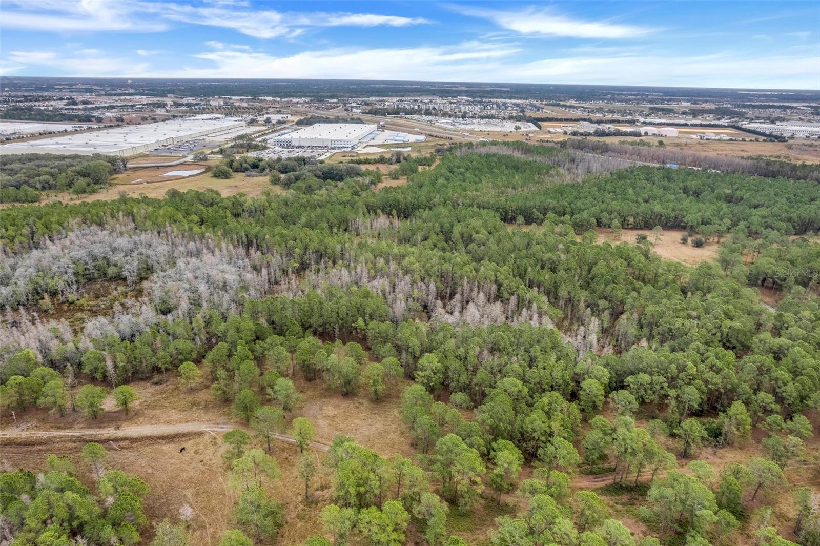 Unincorp/swfwmd Property Photo 7