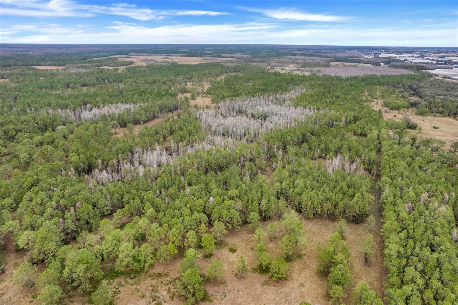 Unincorp/swfwmd Property Photo 8