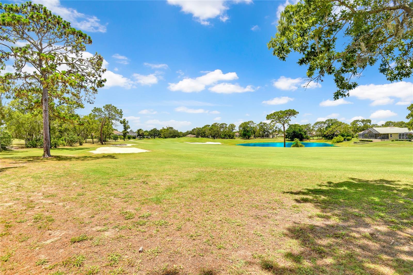 9093 Players Dr Property Photo 33