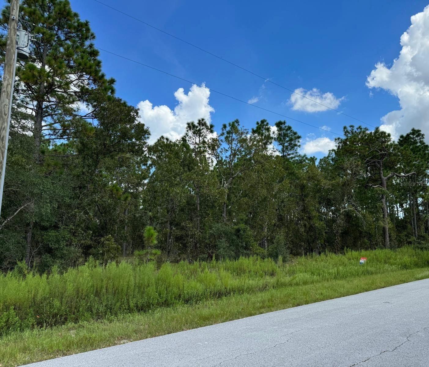 Tbd Lot 39 Sw Vibeurnum Rd Property Photo 1