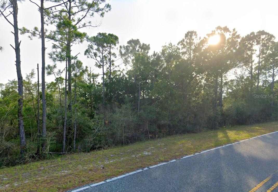 Wakulla County Real Estate Listings Main Image