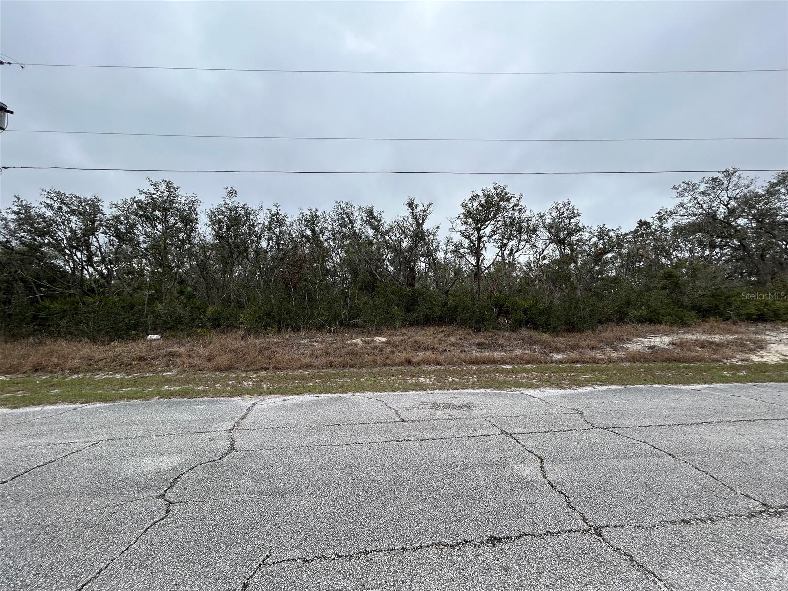 509 Sarasota Ln Property Photo 1