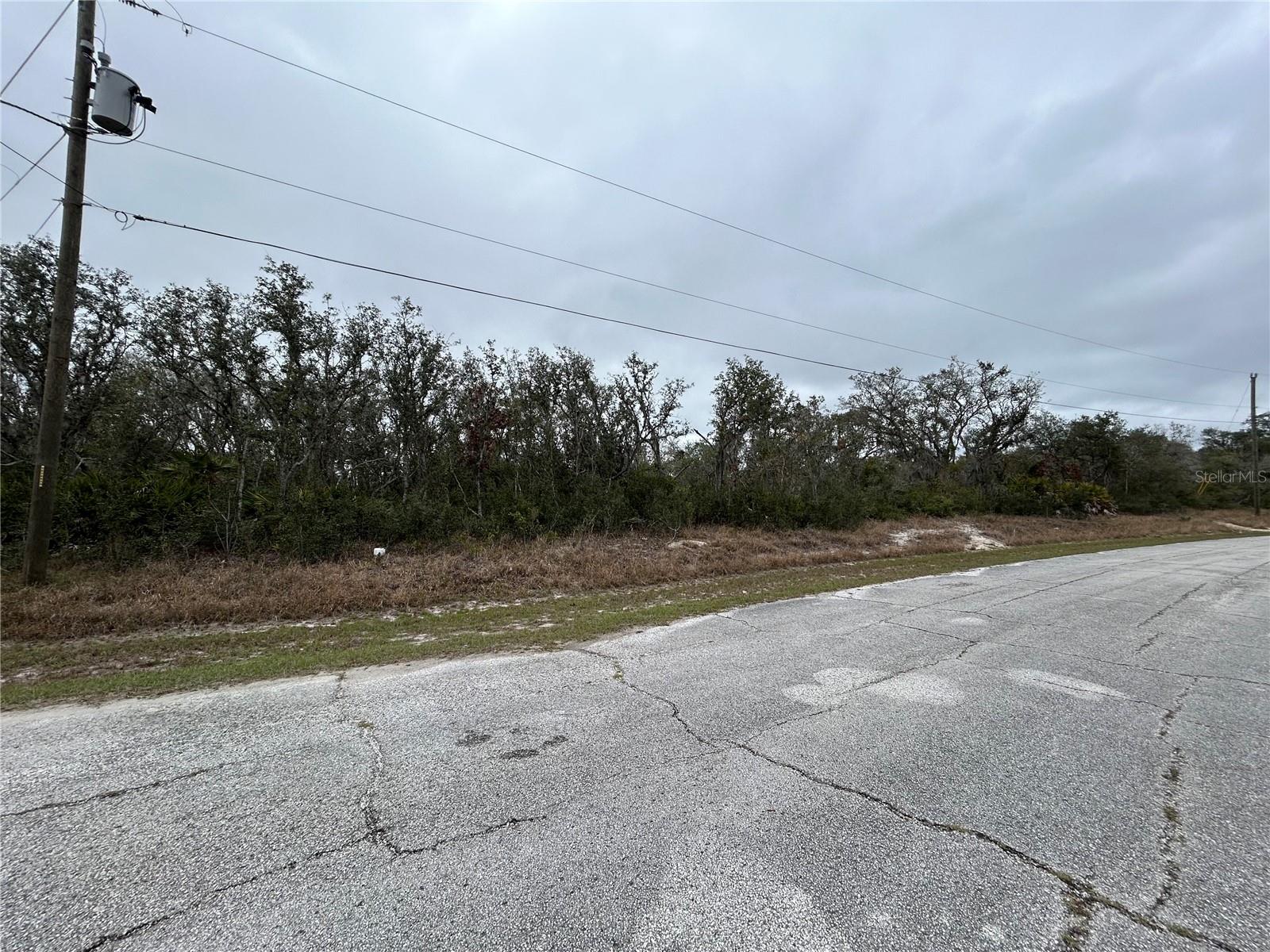 509 Sarasota Ln Property Photo 3