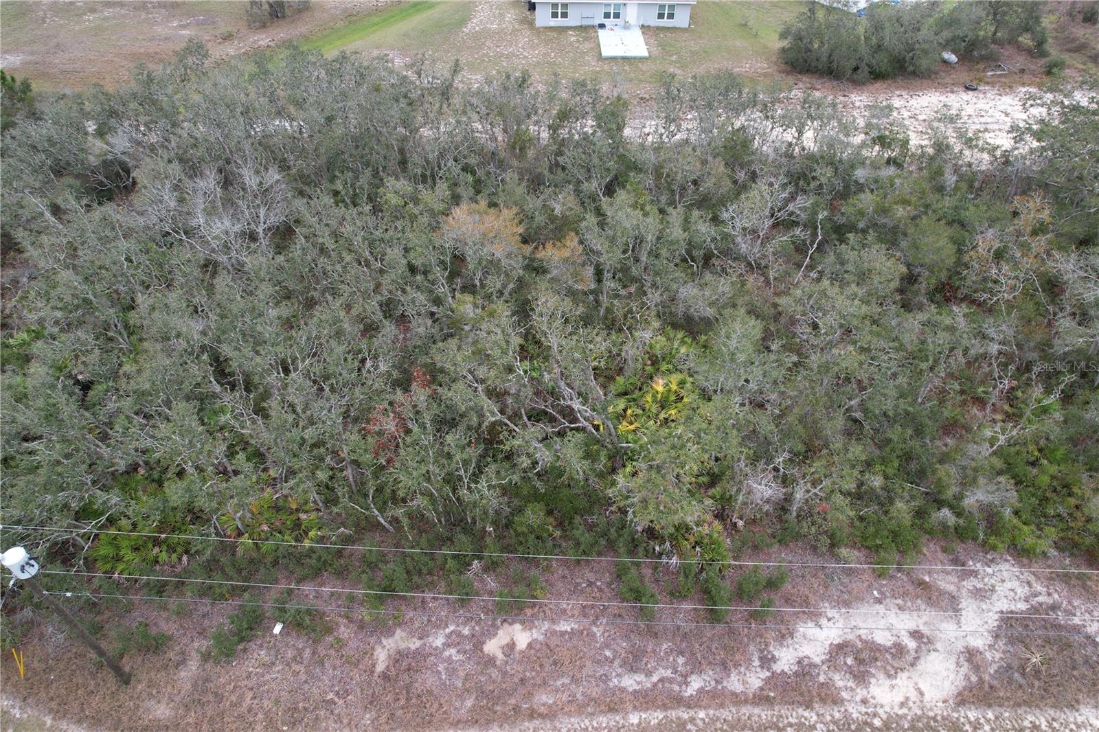509 Sarasota Ln Property Photo 11