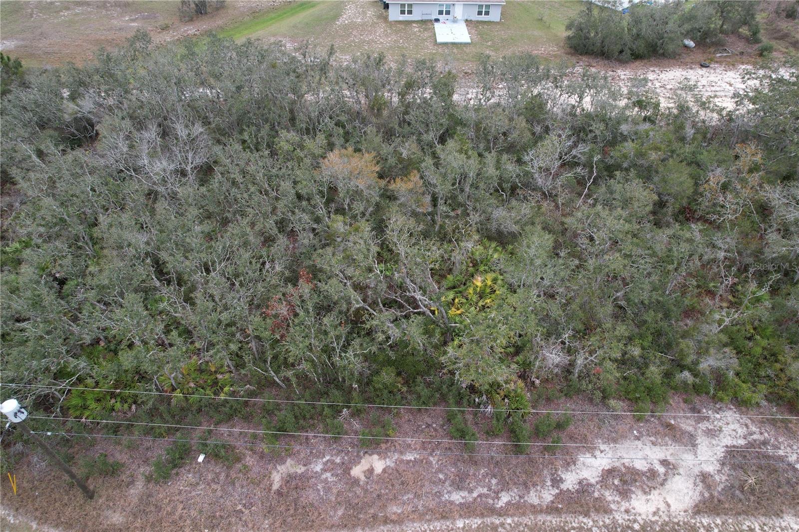 509 Sarasota Ln Property Photo 12