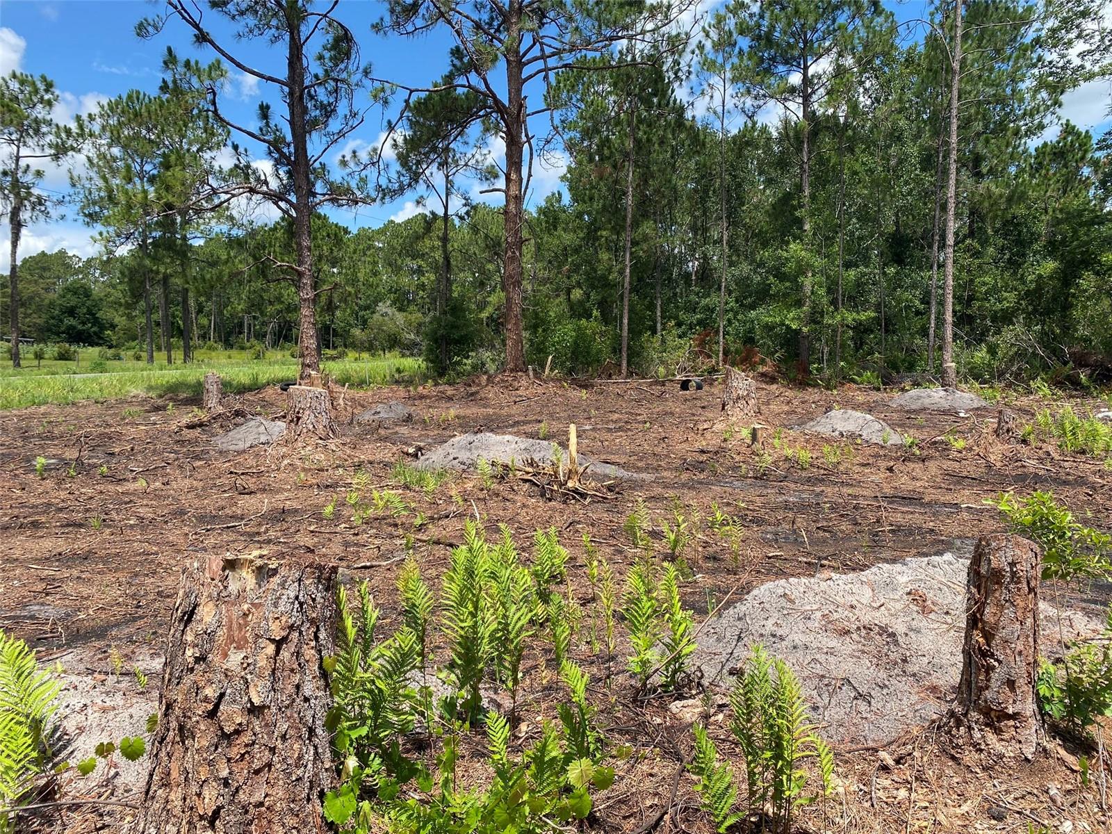 2101 W Frostproof Rd Property Photo 1