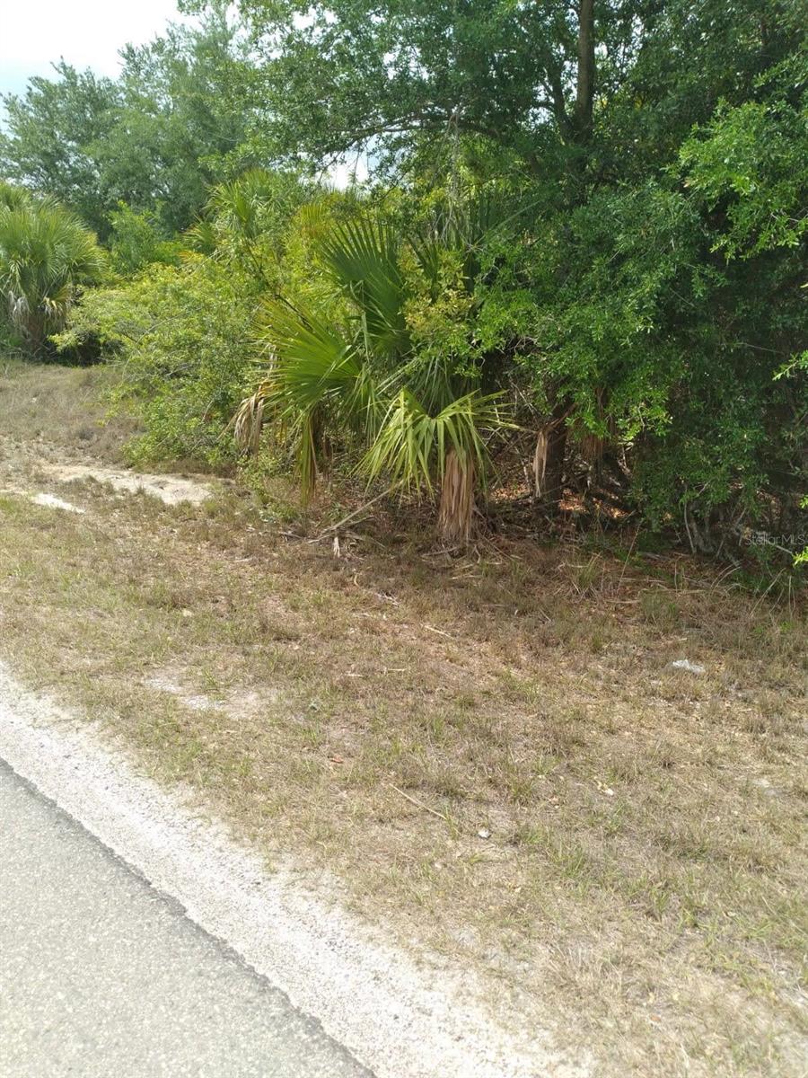 1600 Louis Ave Property Photo