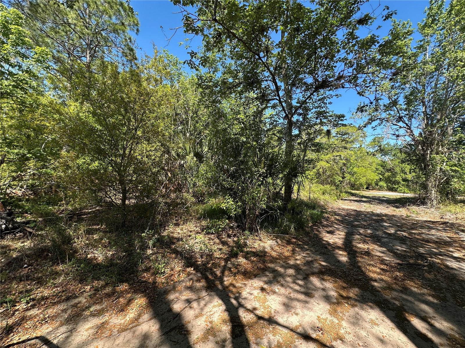 268 Spoonbill Dr Property Photo 1