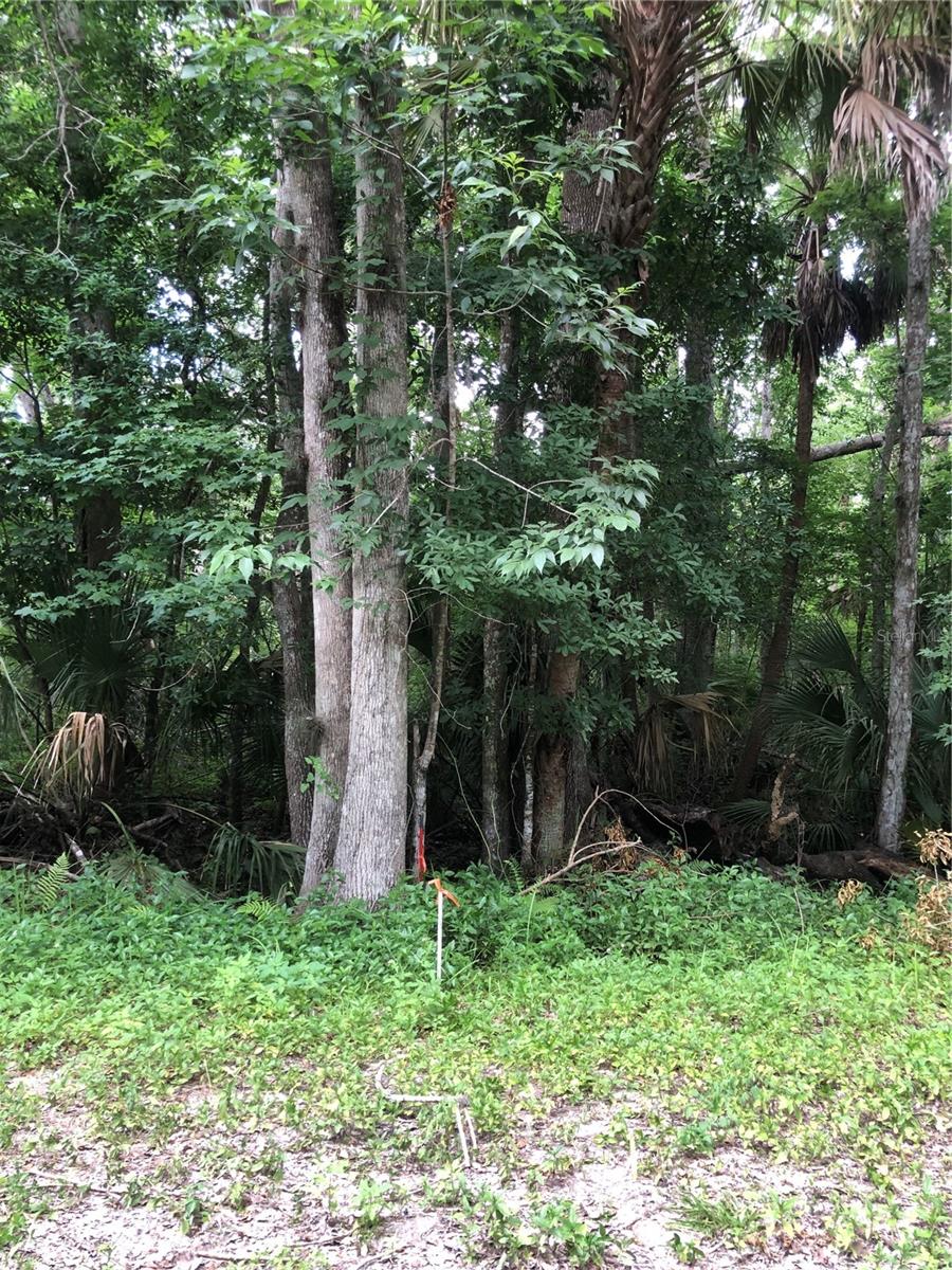Keefer Trl Property Photo 3