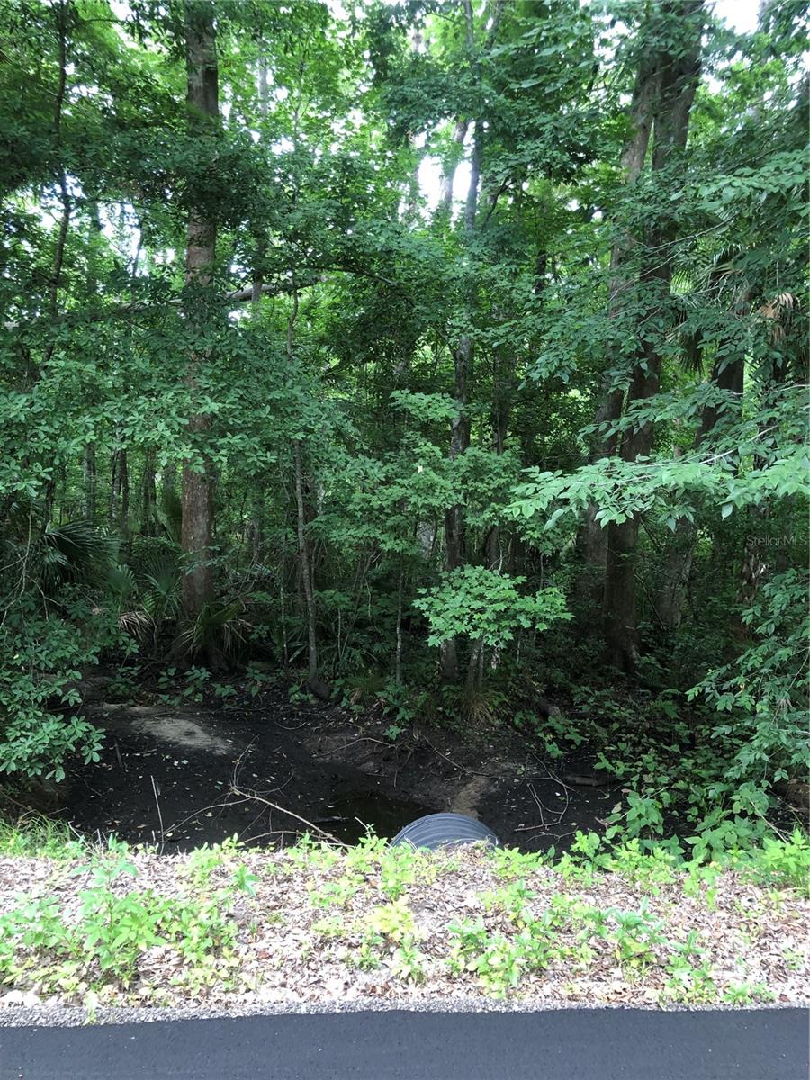 Keefer Trl Property Photo 4