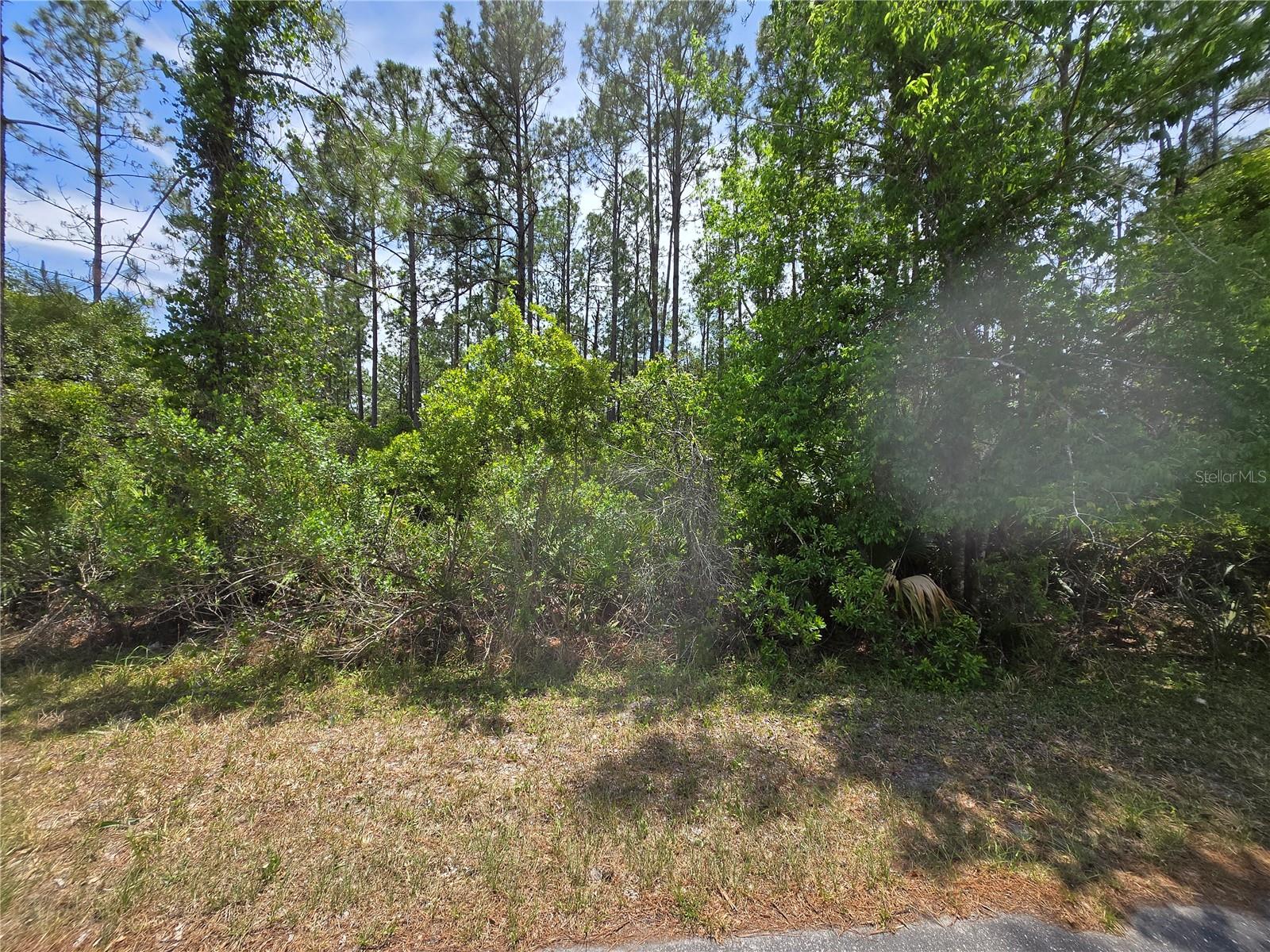 00 W Bluebell Ave Property Photo 3