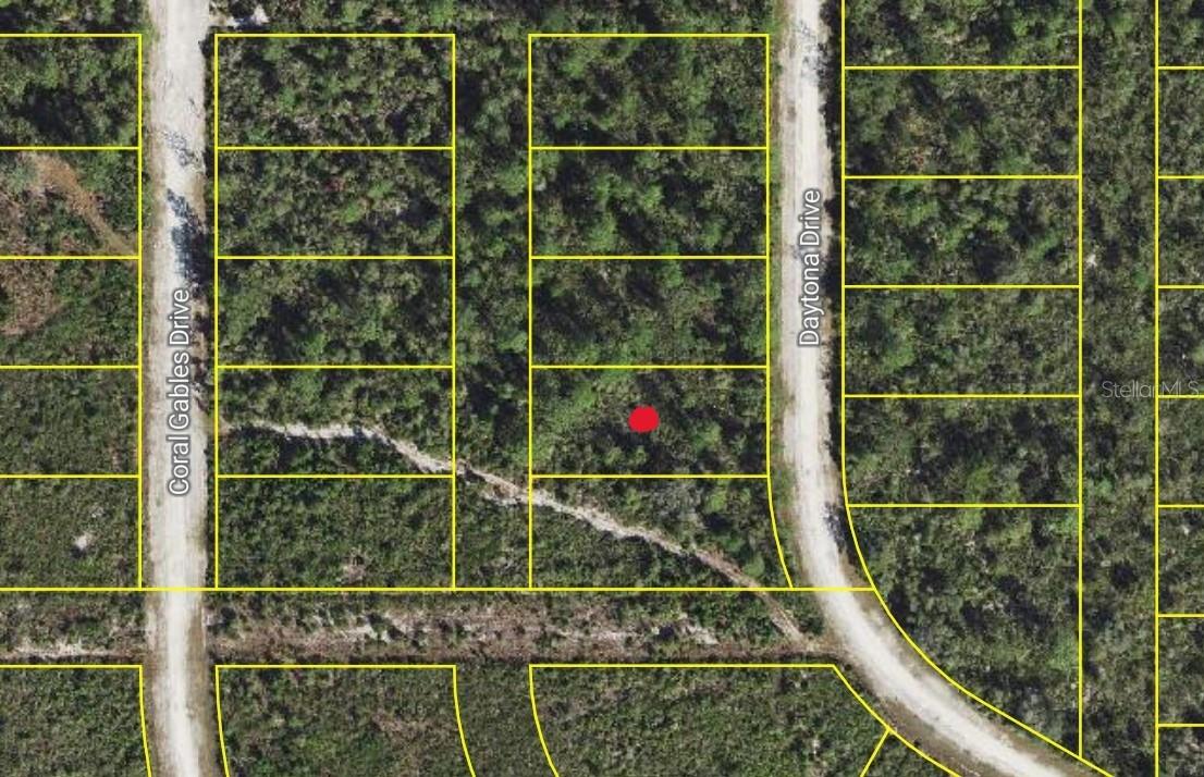 Daytona Dr Property Photo