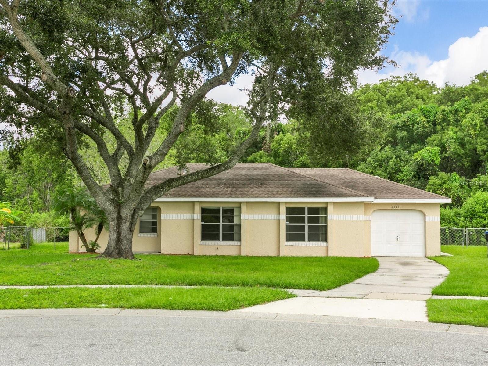 12513 Indiana Woods Ln Property Photo 1