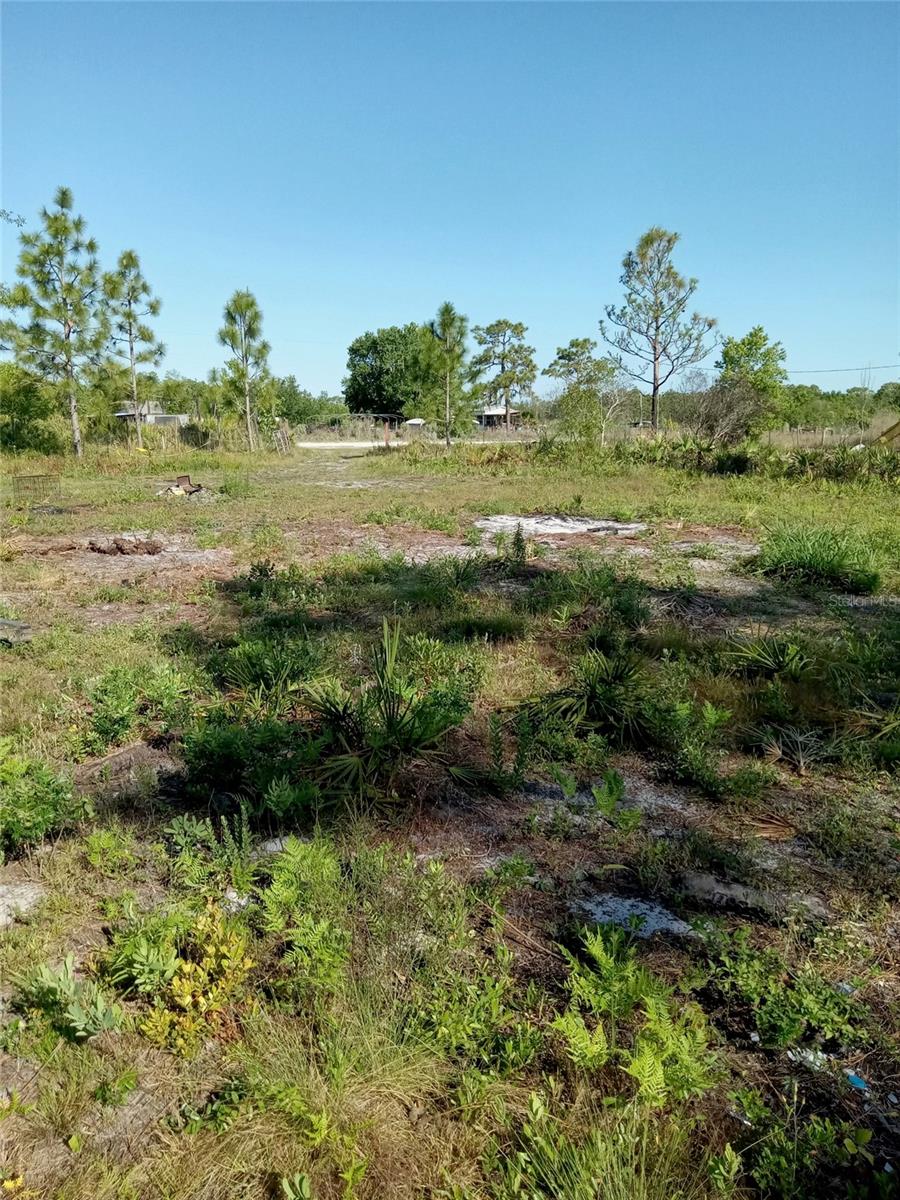 Krazy Court Property Photo