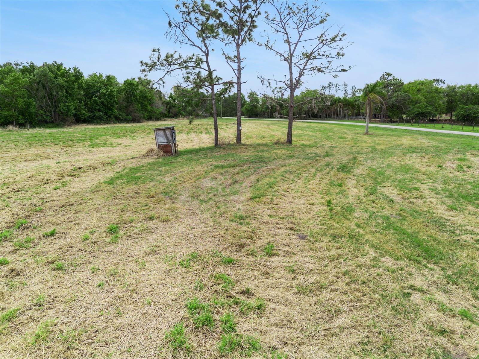 0000 Fanny Bass Ln Property Photo 6