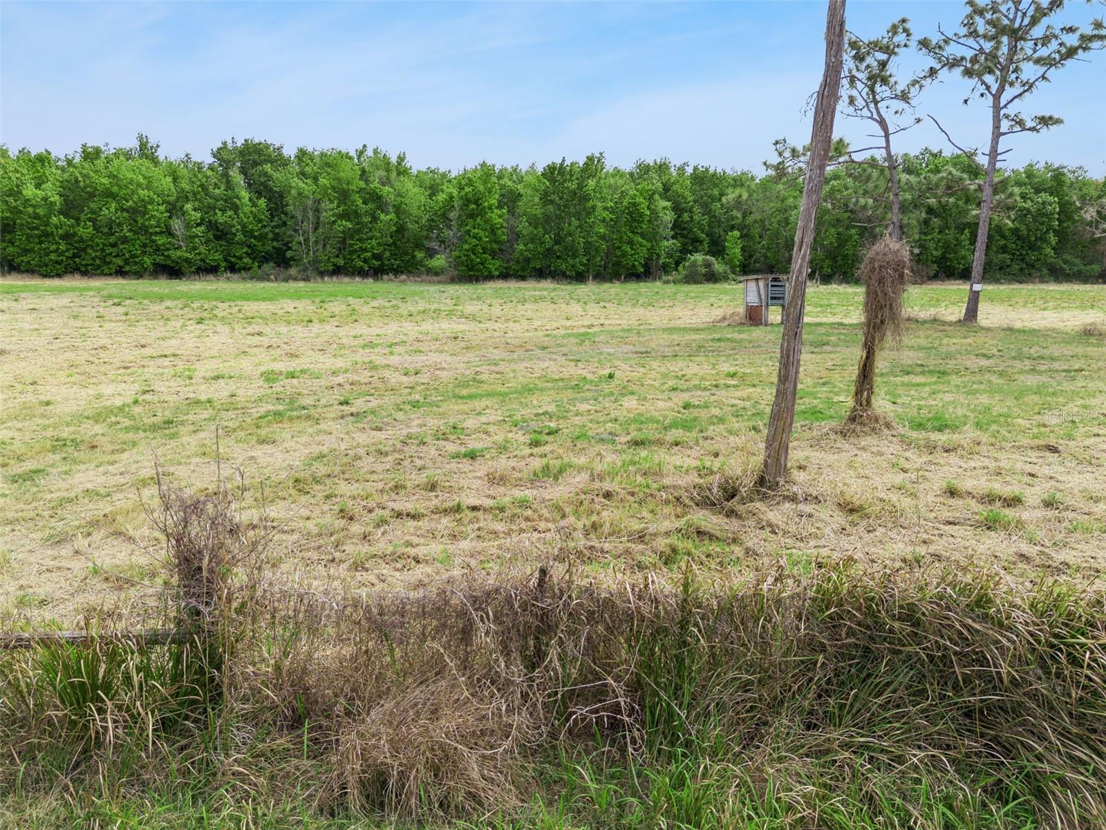 0000 Fanny Bass Ln Property Photo 9